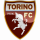 logo Torino